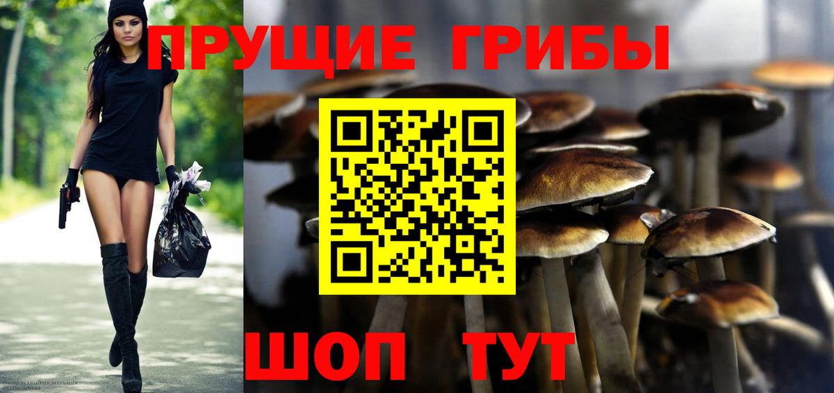 Галлюциногенные грибы мухоморы  Вход с VPN  Иваново  Псилоцибиновые грибы мухоморы 