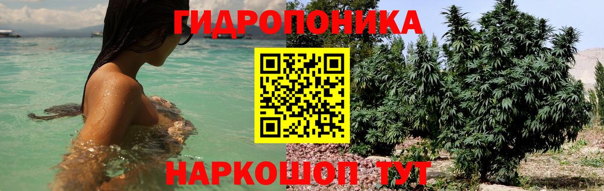 Конопля ГИДРОПОН Иваново